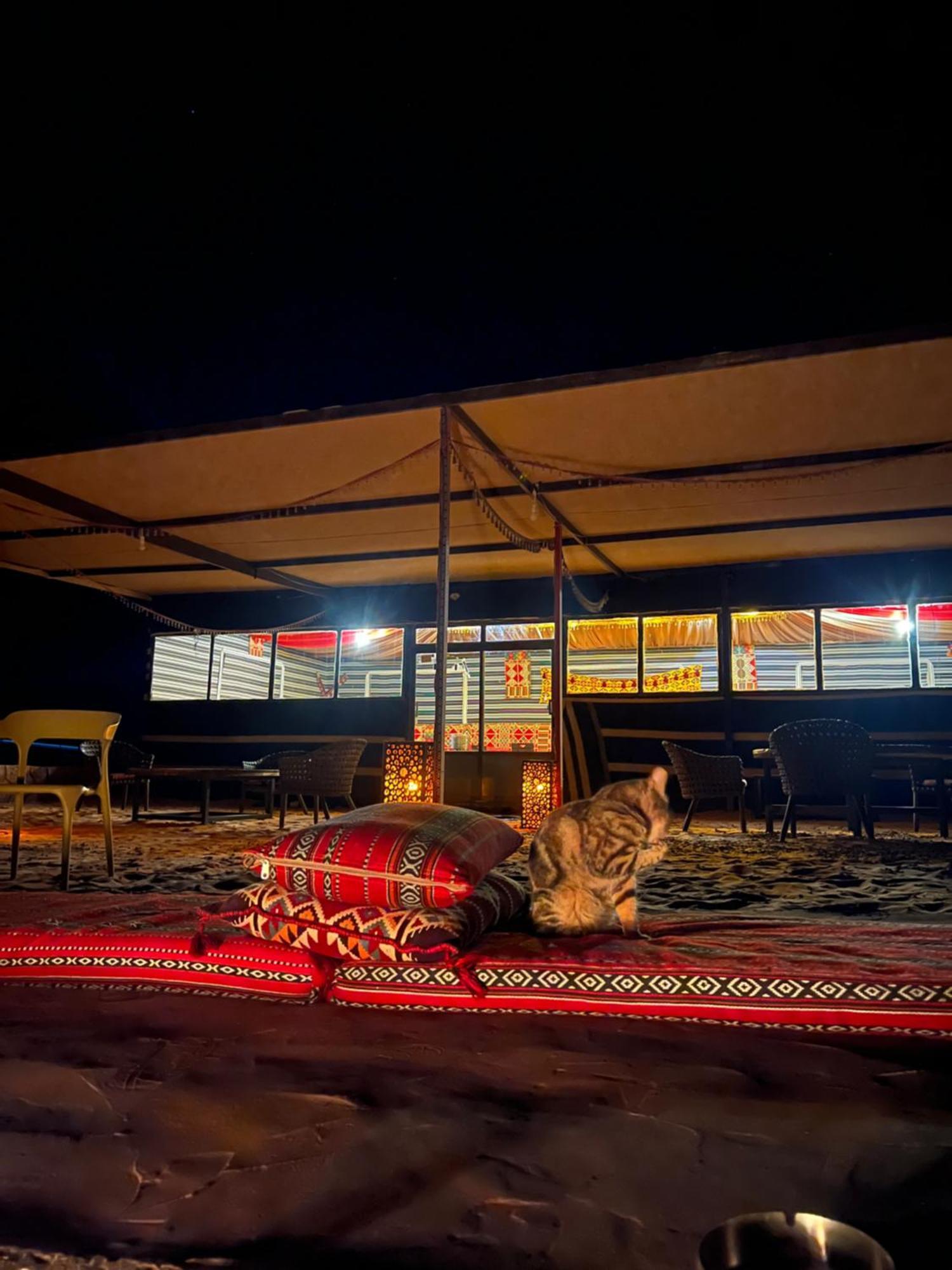 Отель Bedouin Life Camp Вади-Рам Экстерьер фото